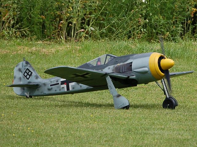 warbirdtreffen-focke-wulf (08).jpg